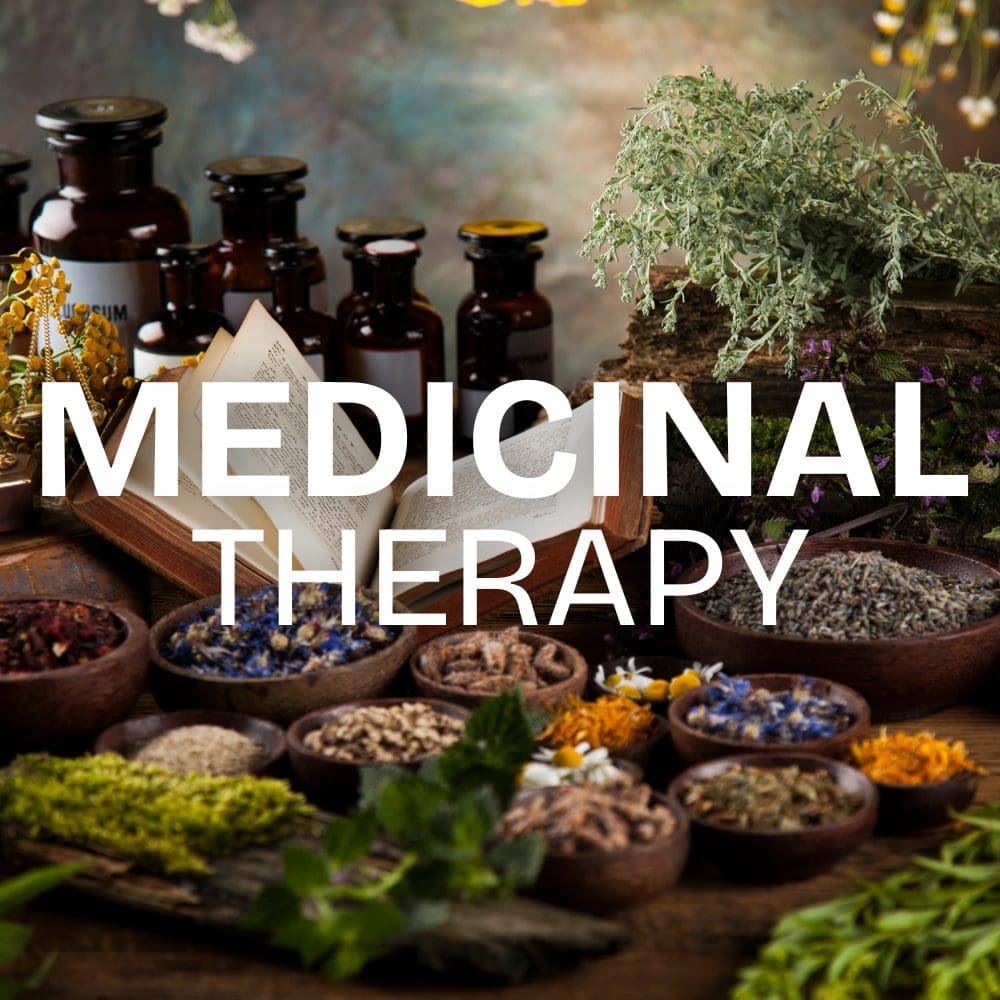MEDICINAL THERAPY DUBLIN WELLBEING CENTRE (1)